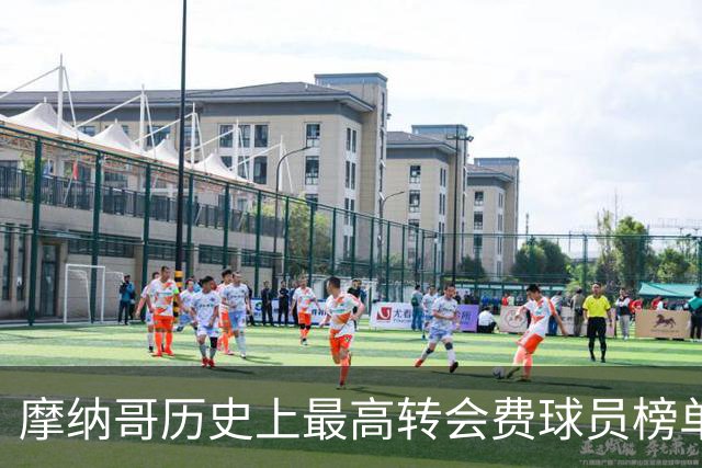 摩纳哥历史上最高转会费球员榜单揭秘